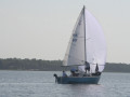 IMG 3662