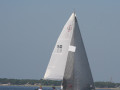 IMG 3684