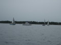 IMG 5021