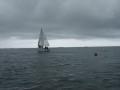 IMG 5030