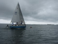 IMG 5031