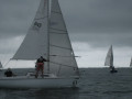IMG 5035
