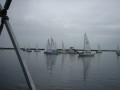 IMG 5048