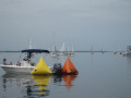 IMG 5054