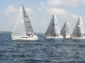 IMG 3710