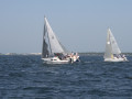 IMG 3713