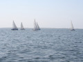 IMG 3719