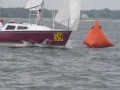 IMG 3785