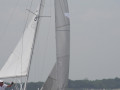IMG 3796