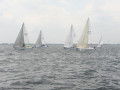 IMG 3826