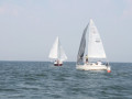 IMG 3848