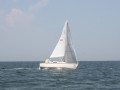IMG 3853