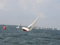 IMG 3854