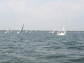 IMG 3878