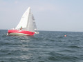 IMG 3905