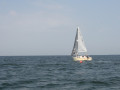 IMG 3912