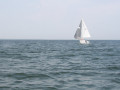 IMG 3920