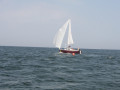 IMG 3921