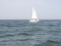 IMG 3927
