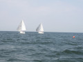 IMG 3931