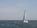 IMG 3932