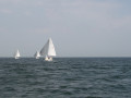 IMG 3939