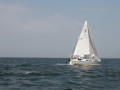 IMG 3943