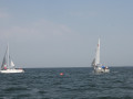 IMG 3945