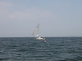 IMG 3948