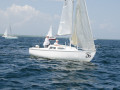 TDM 4843
