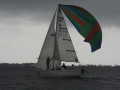 IMG 3419