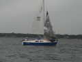 IMG 3422