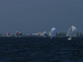 DSC 1028