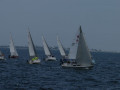 DSC 1077