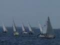 DSC 1078