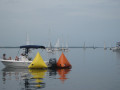 IMG 5054