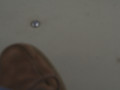 IMG 4428