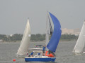 IMG 4439