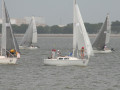 IMG 4440