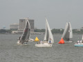 IMG 4441