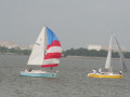 IMG 4442