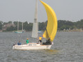 IMG 4447