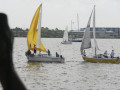 IMG 4455