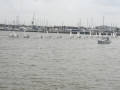 IMG 4460