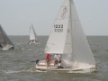 IMG 4471