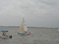 IMG 4473