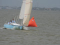 IMG 4490
