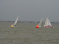 IMG 4497