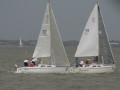 IMG 4502