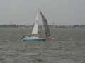 IMG 4510
